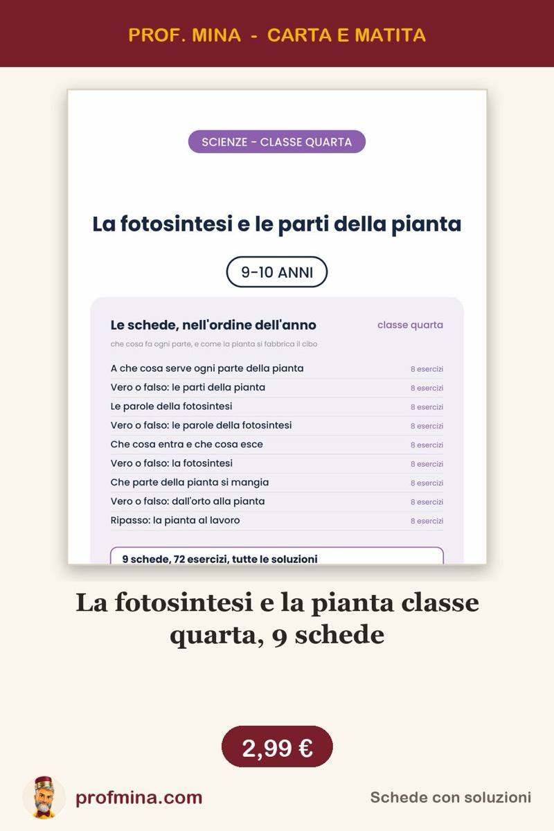 La fotosintesi e la pianta classe quarta, 9 schede